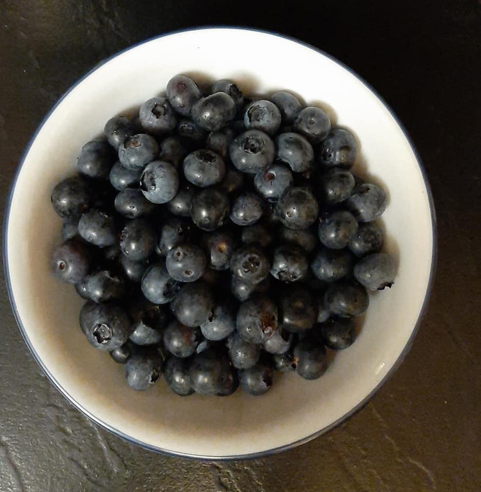 A Bowl of Blueberries